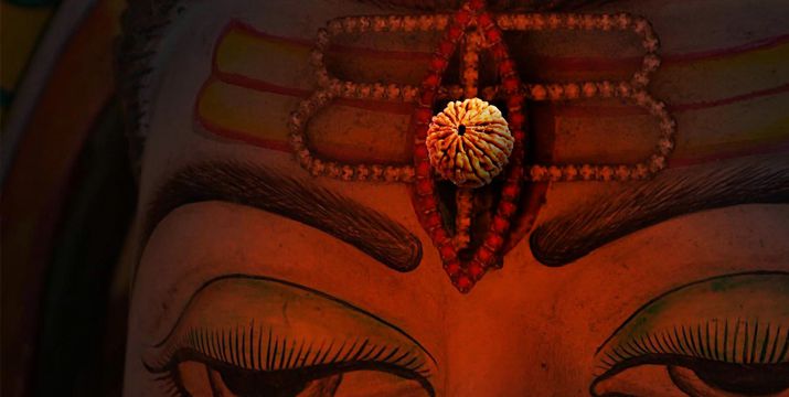What are the Benefits of Rudraksha