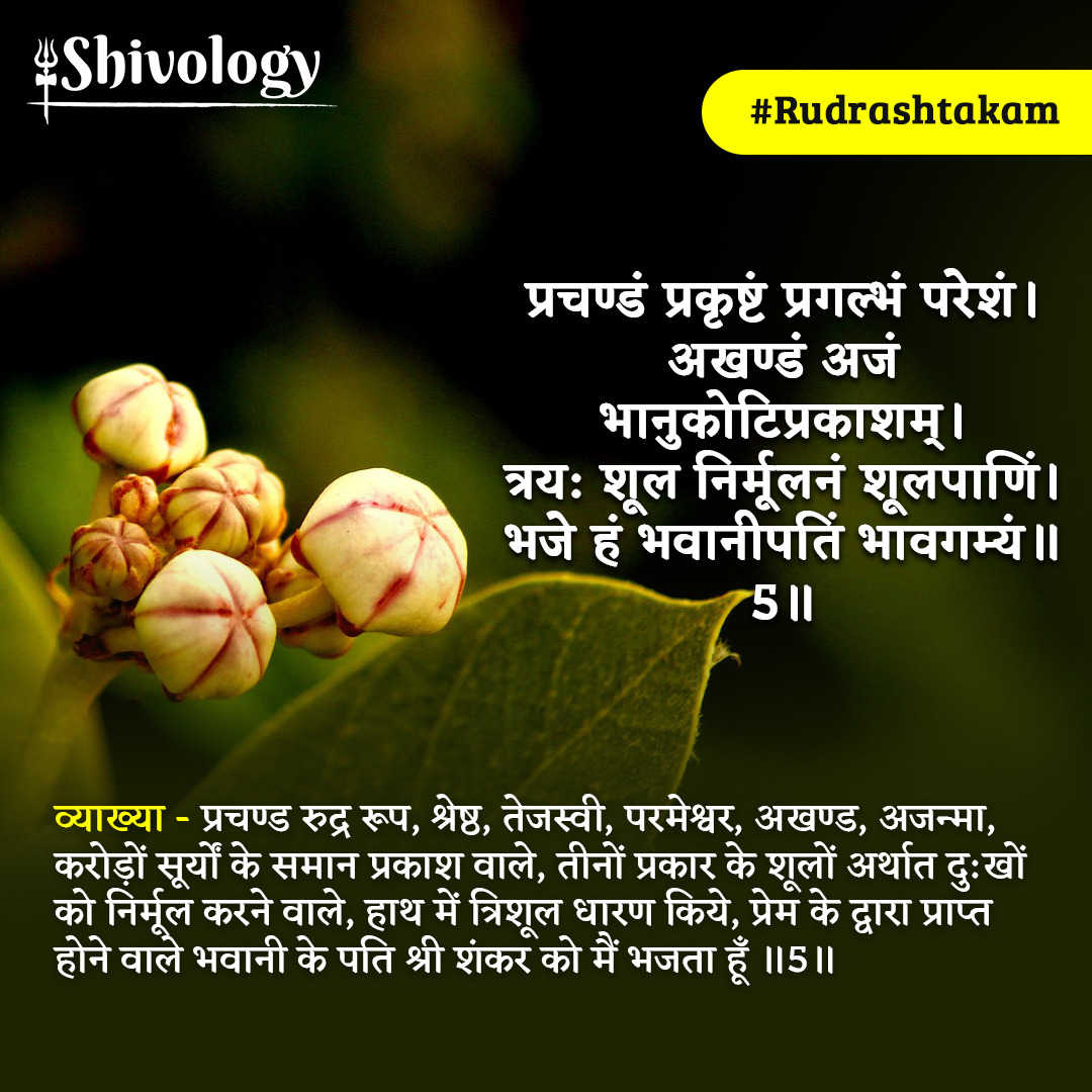 Rudrashtakam with Meaning